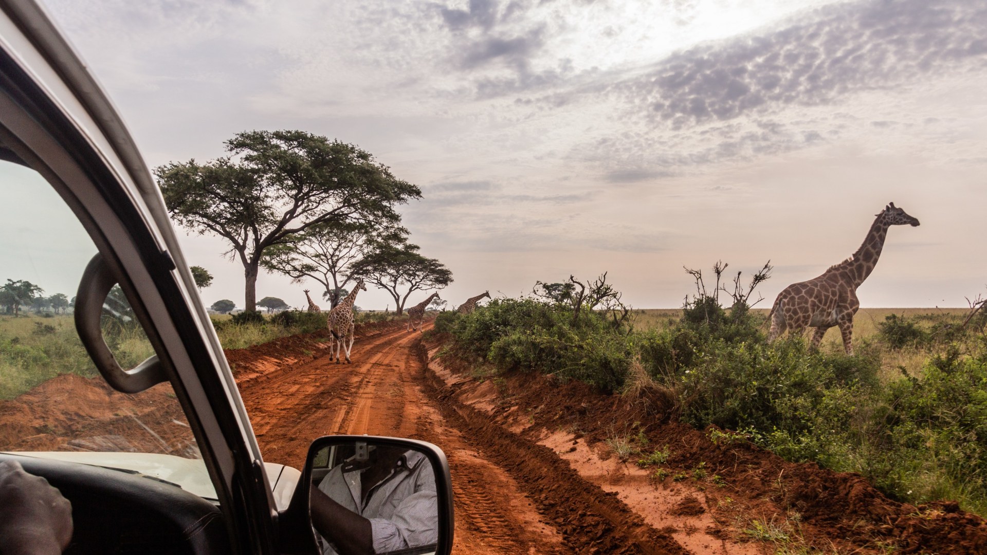 Churchill's Erbe: die grüne Perle Afrikas